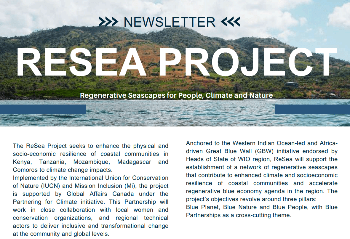 ReSea newsletter cover