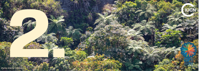 2 - COP16