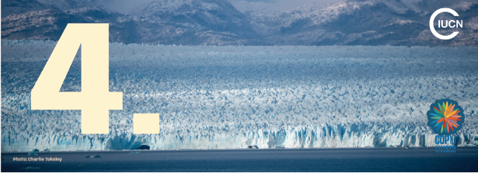 4 - COP16