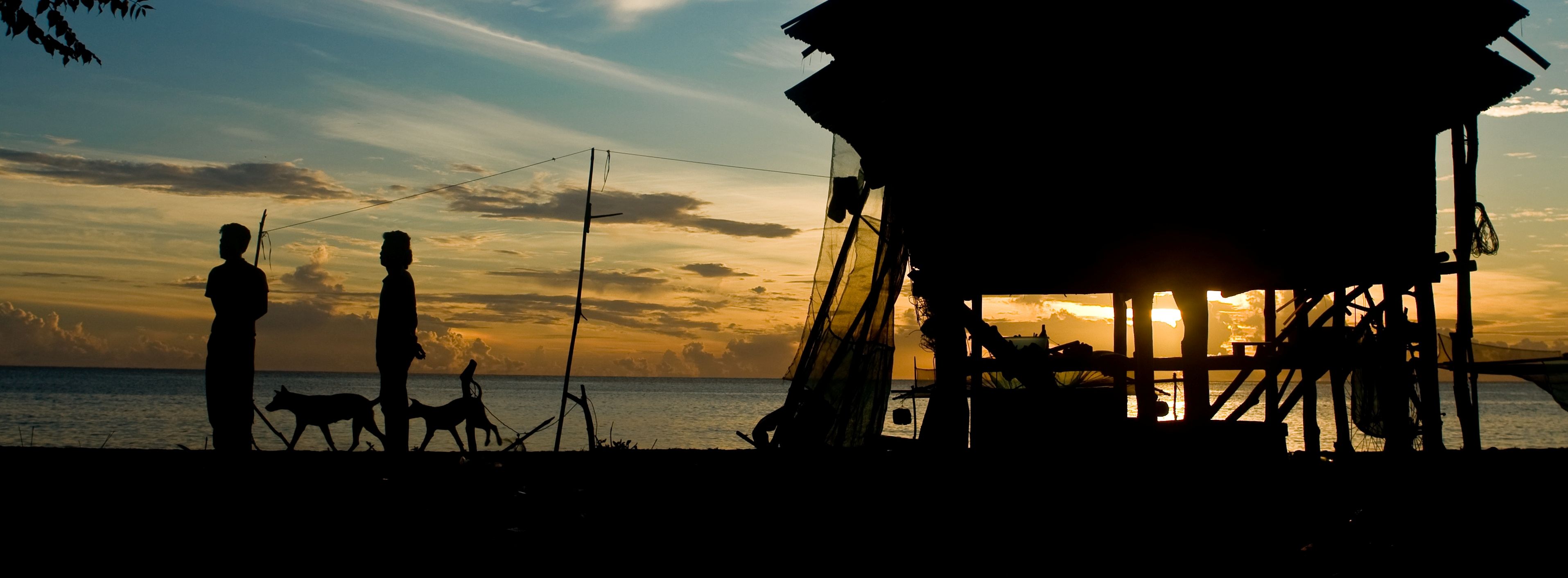 WCP webpage banner