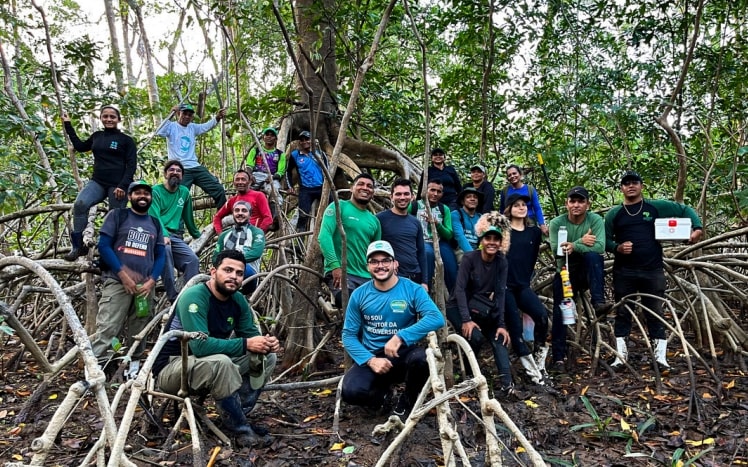 Image Source - https://iucn.org/story/202507/marajo-where-mangroves-inspire-future