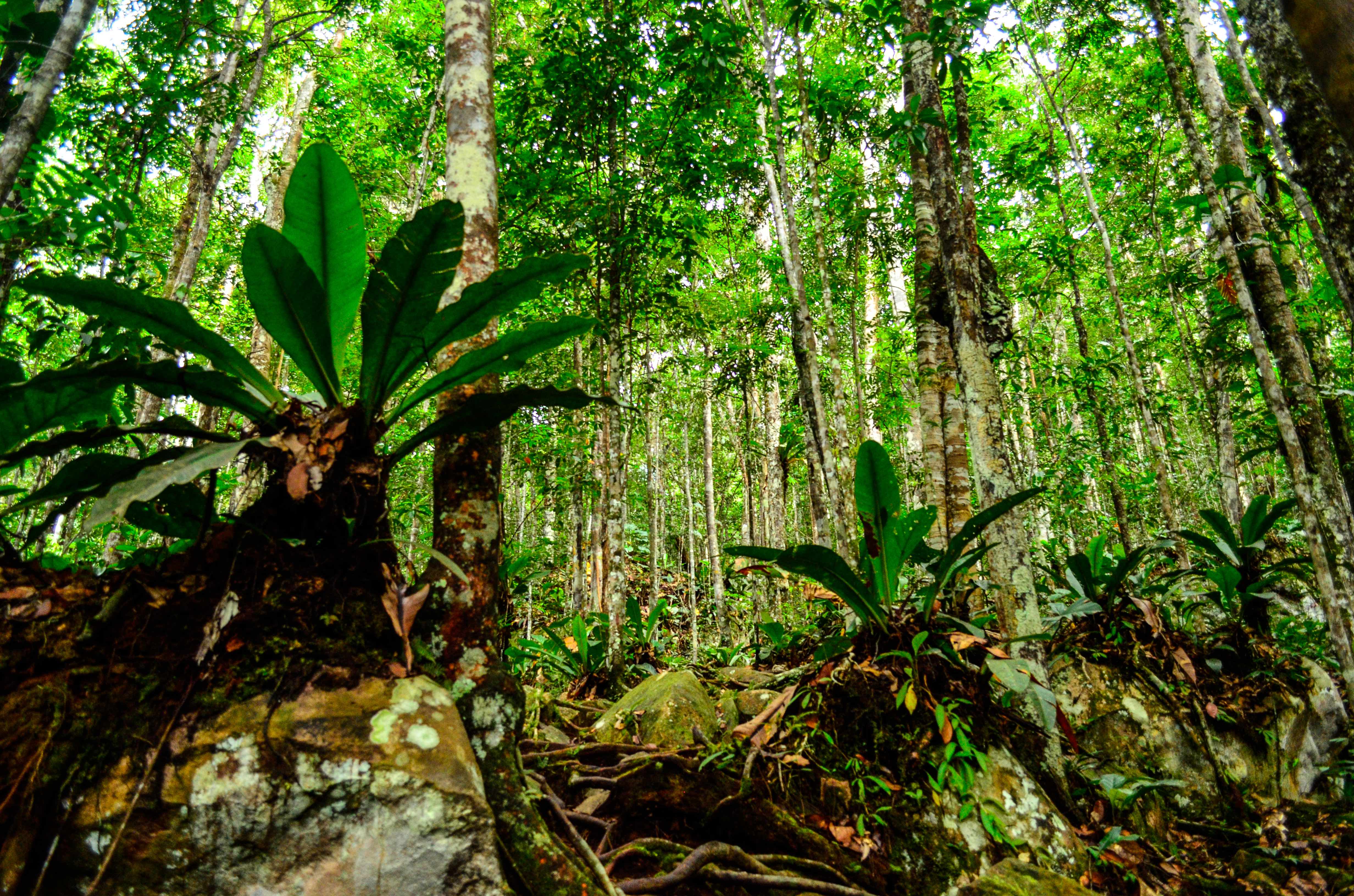 Venezuela Biodiversity