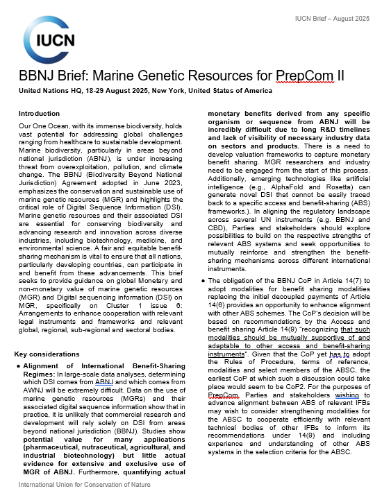 Cover page of the policy brief