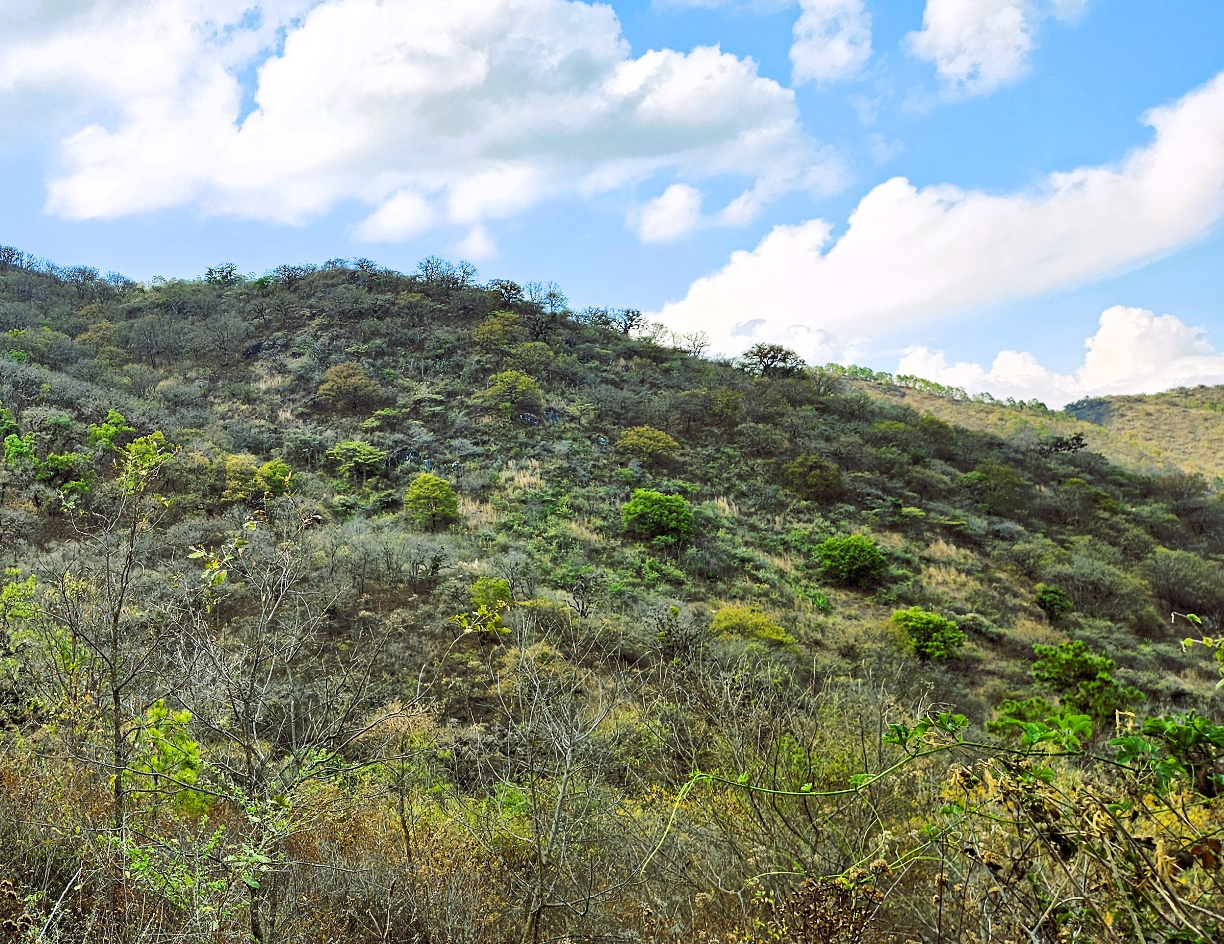 Paisaje