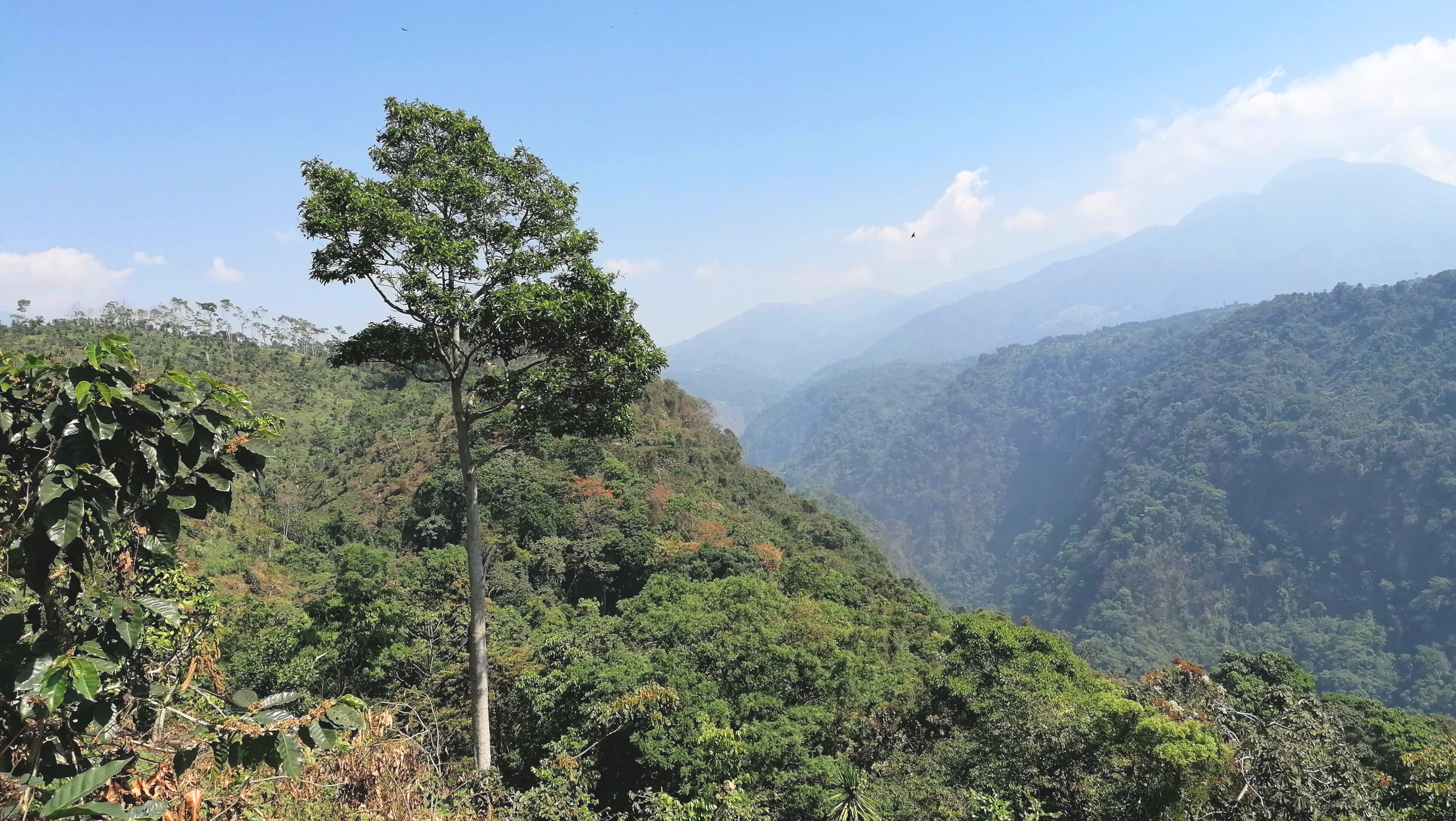 Paisaje