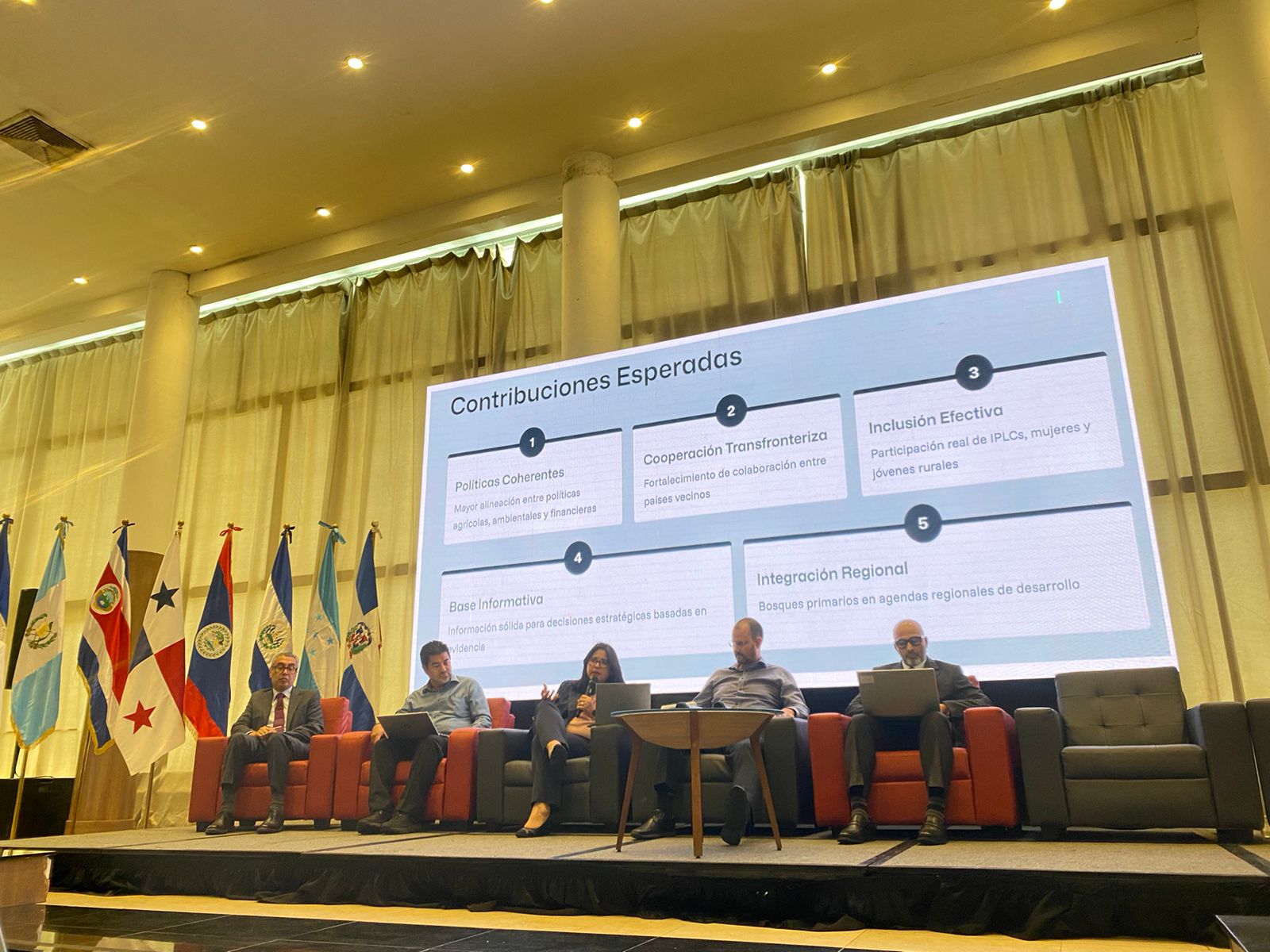 Iniciativa Grandes Bosques