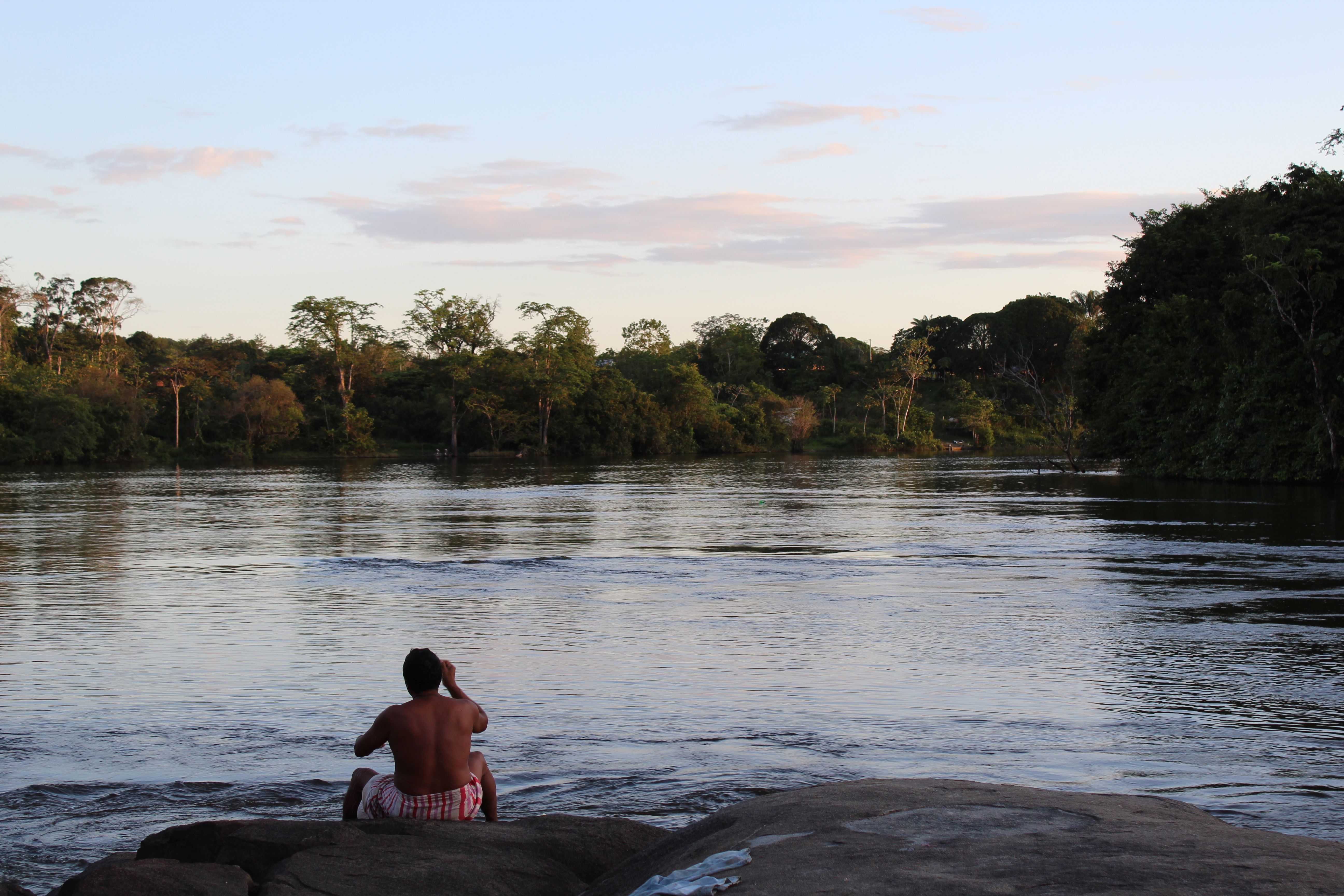 Across eight Amazon countries, forests on Indigenous lands…