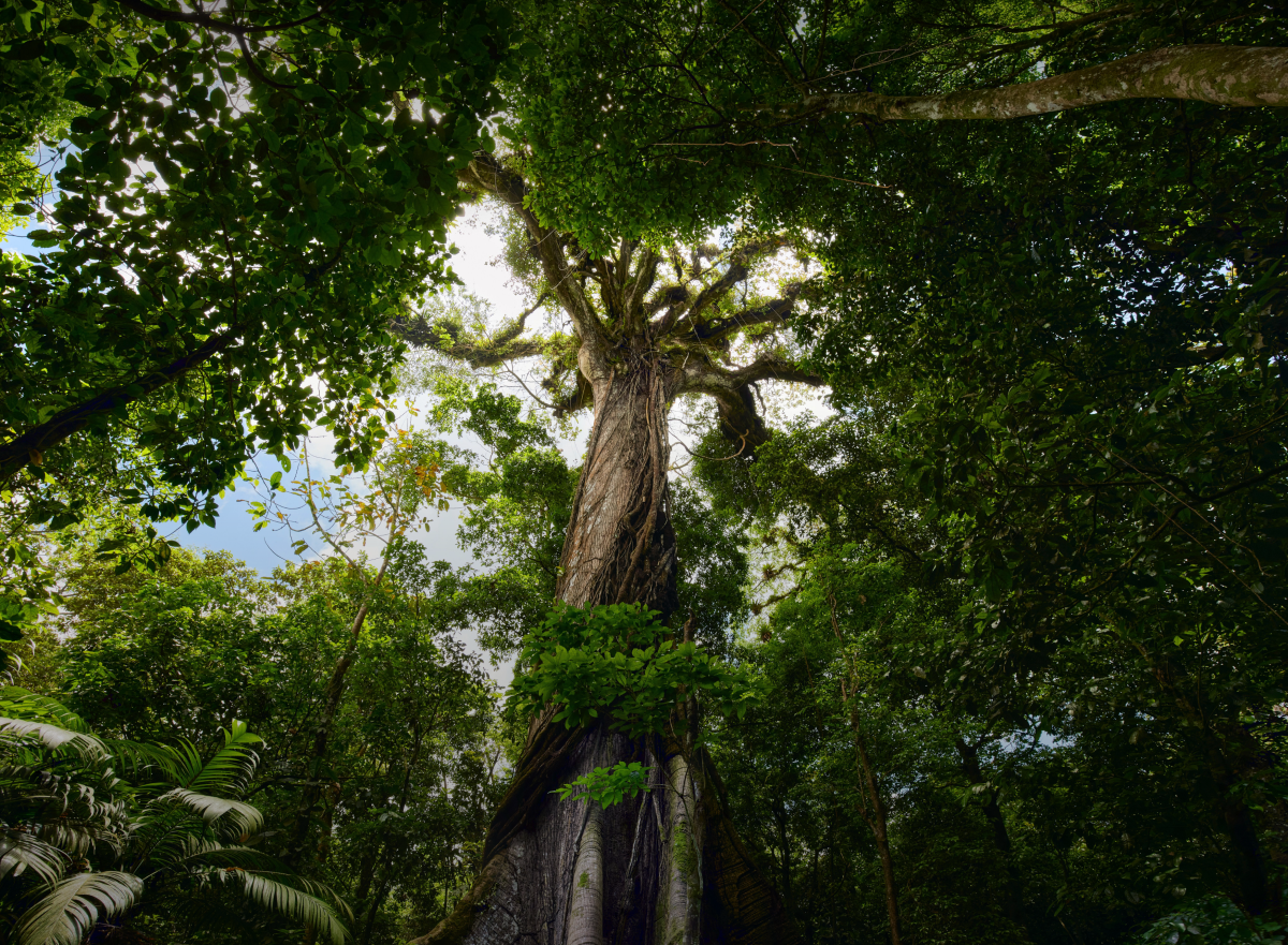 Comprehensive update to the world’s biodiversity hotspots…