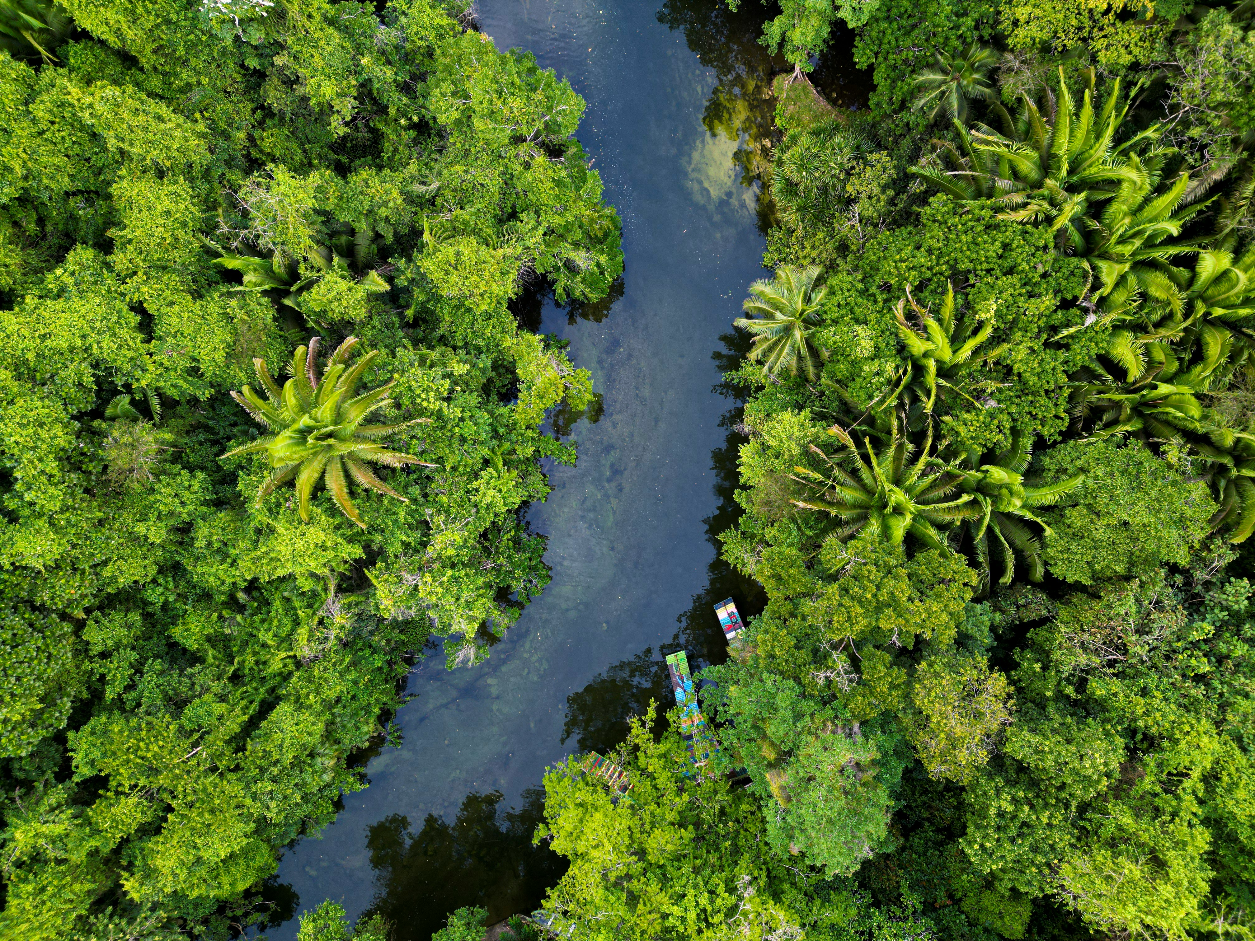 A tributary to Rio Dulce in Guatemala