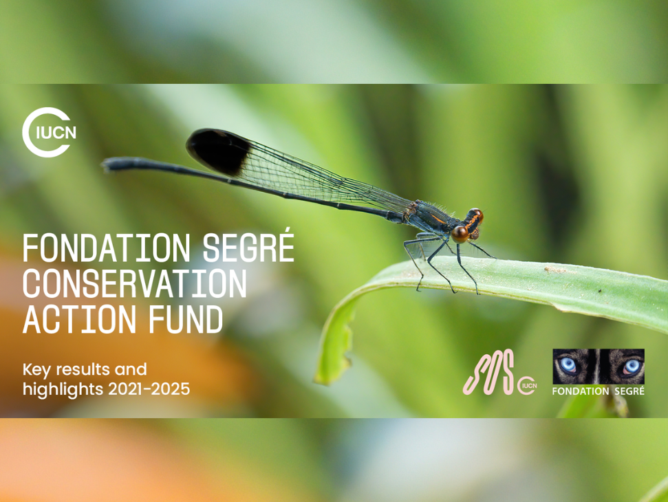Small grants, big impact: New report highlights conservation…