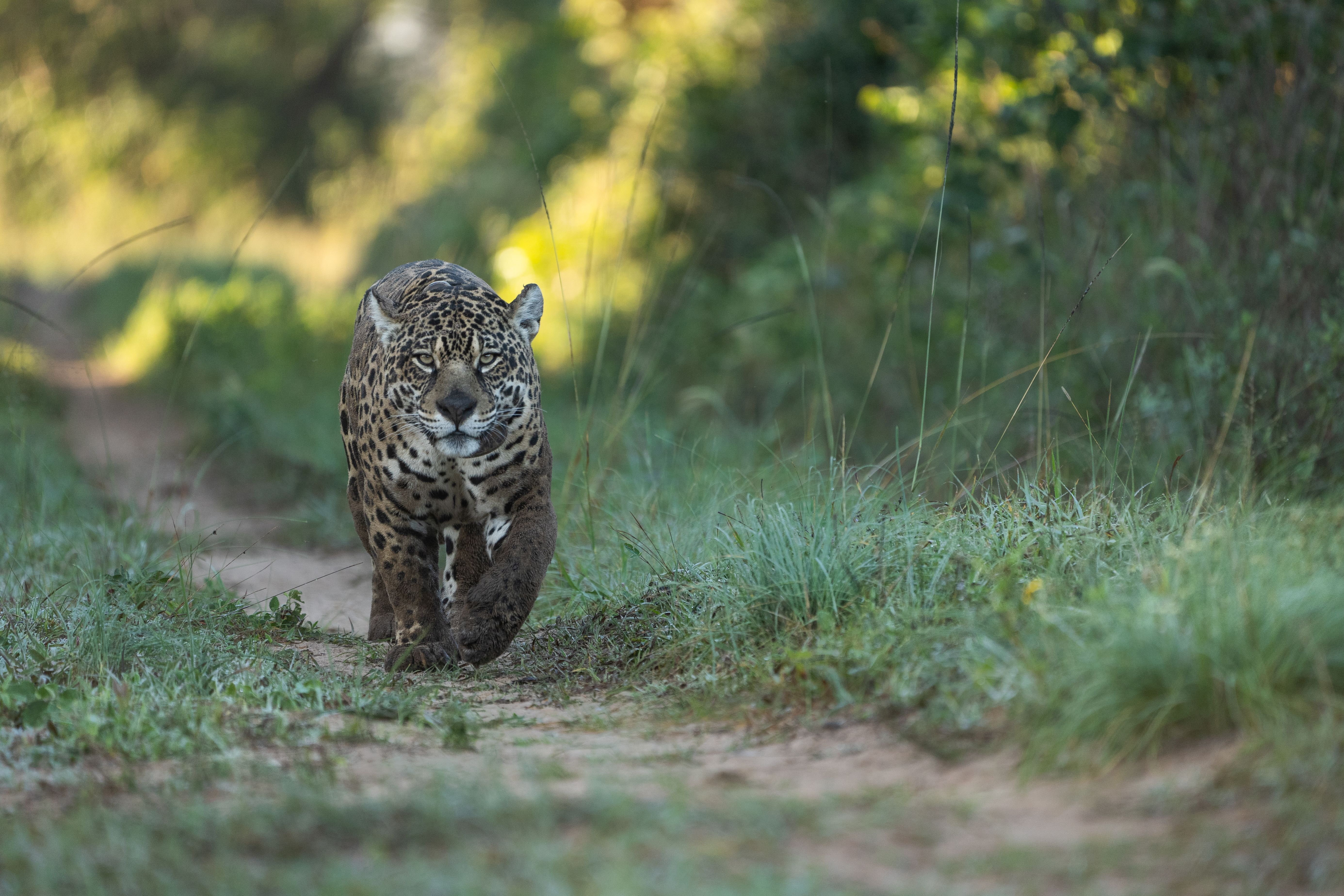 IUCN Commission for Environmental Management launches new…
