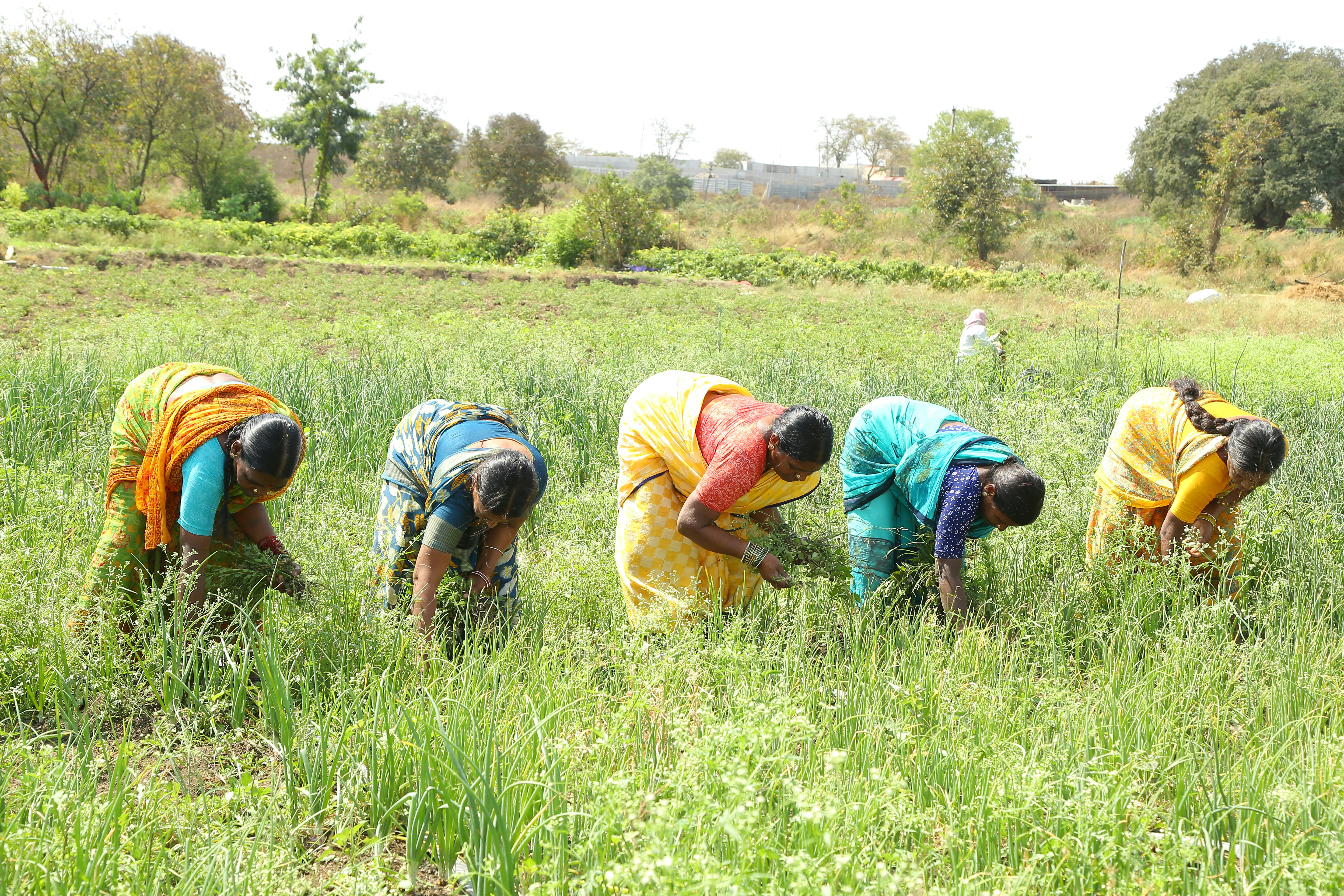 Protecting people, protecting nature: The nexus between gender-based violence and the environment – International Union for Conservation of Nature