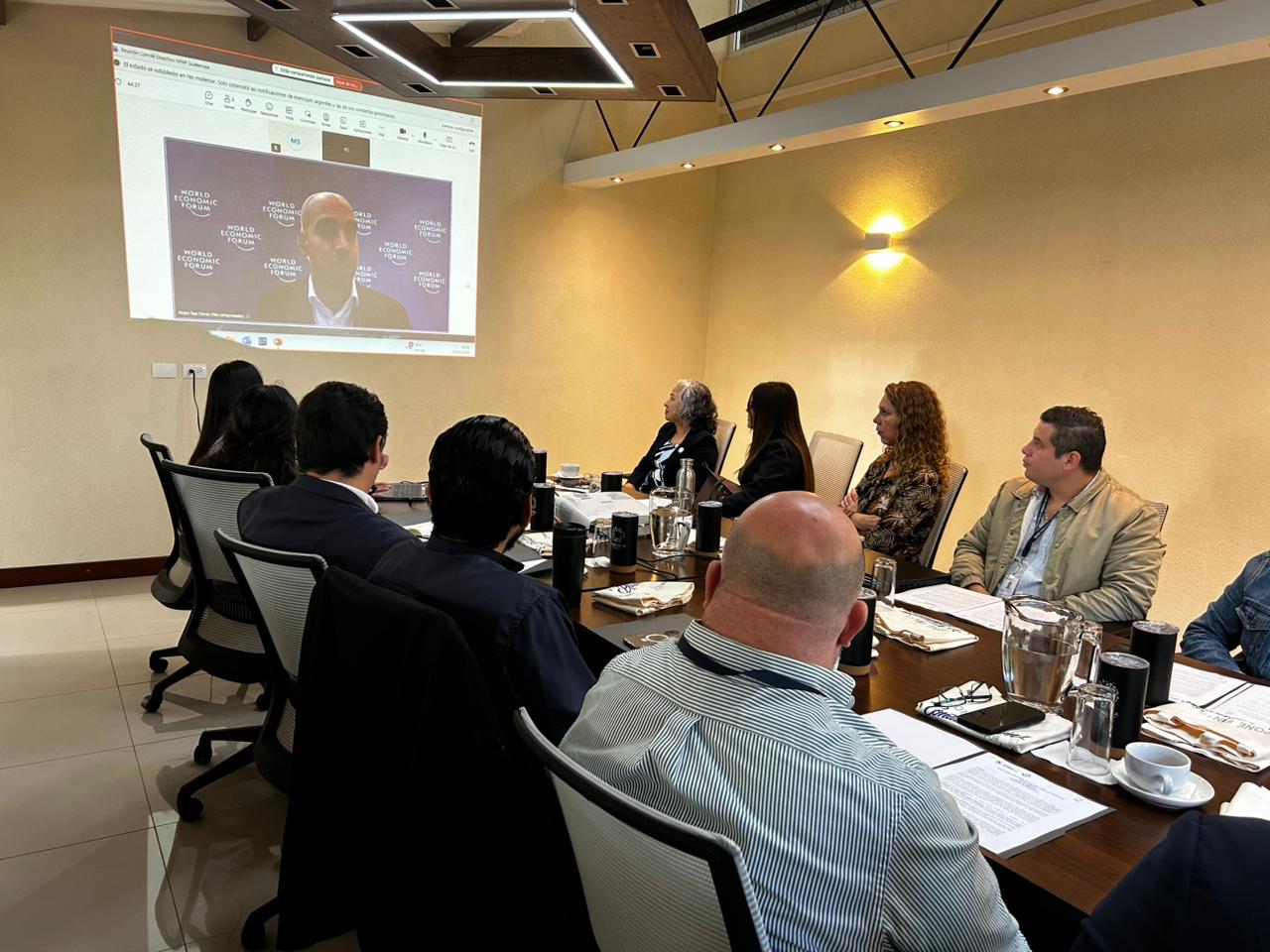 Presentación de Pedro Sao Simao, del Foro Económico Mundial, ante el Comité Directivo conformado de la NPAP Guatemala