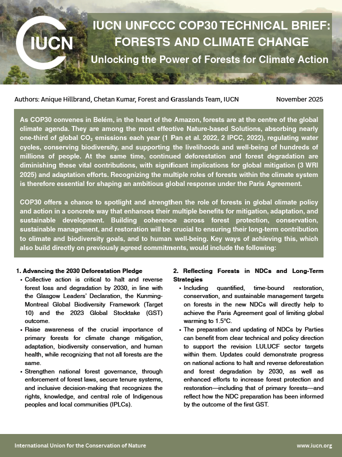 IUCN UNFCCC COP30 Technical Brief: Forests and Climate Change – IUCN