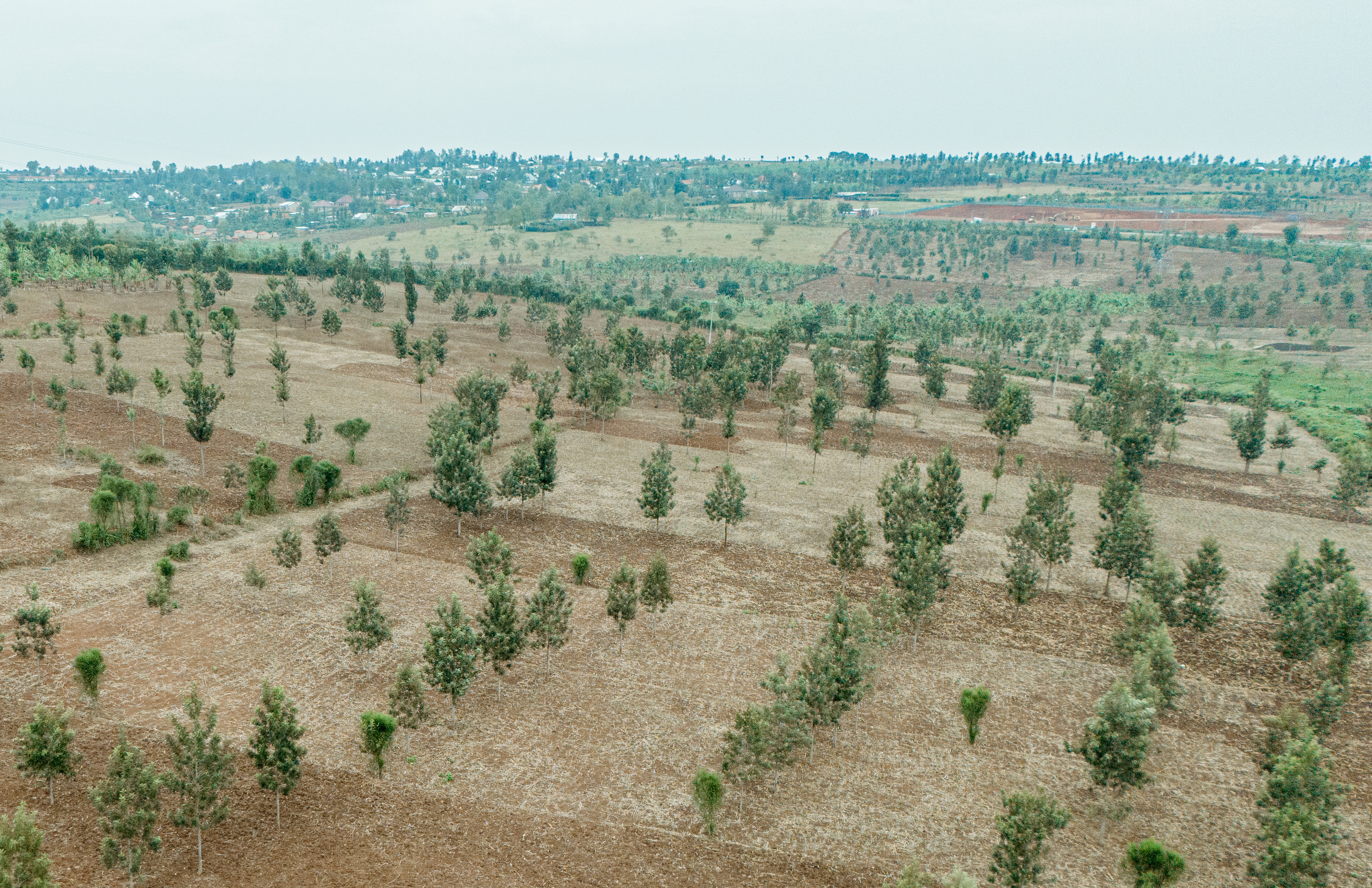 TREPA midterm report shows strong progress, achieving 73% of restoration target…