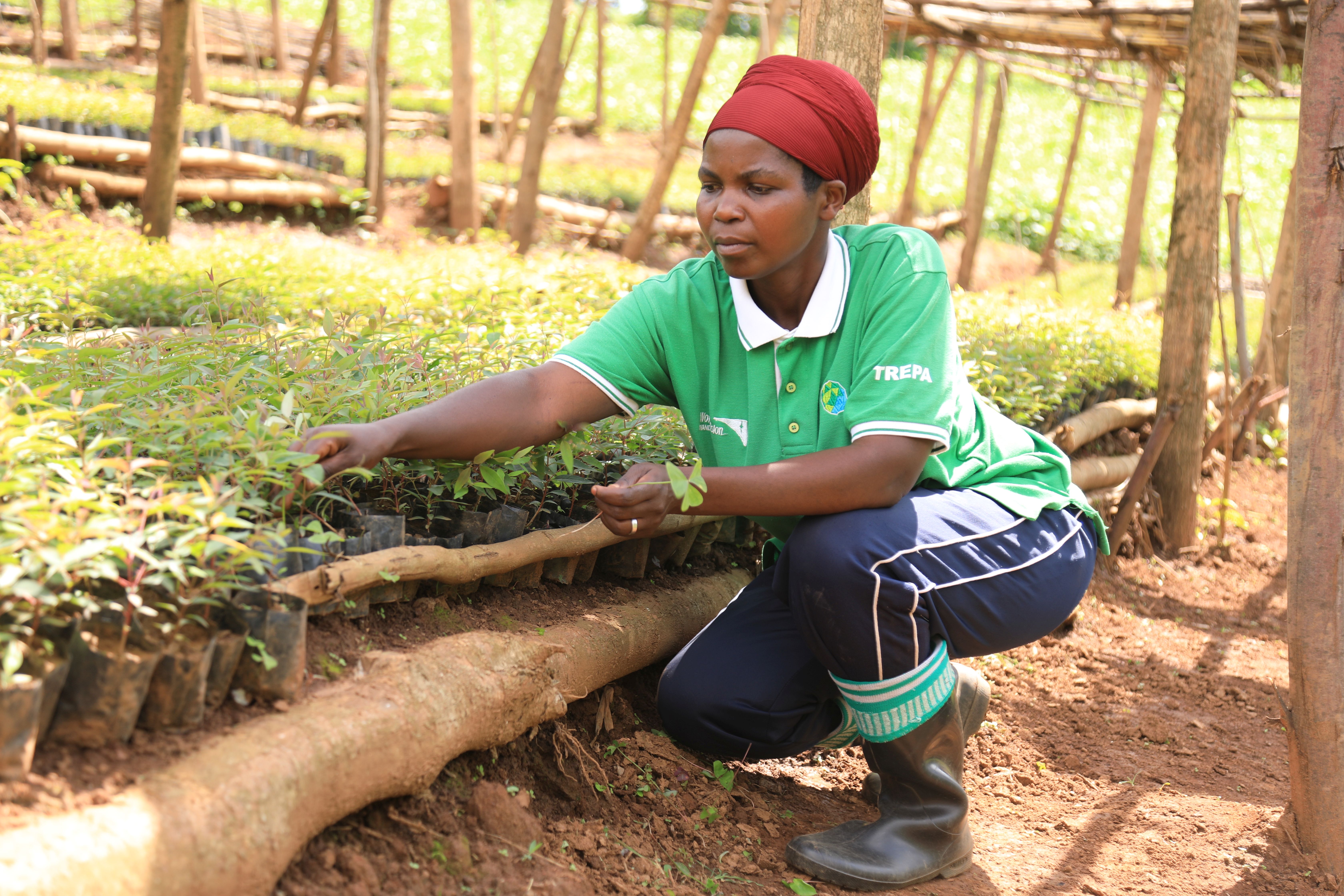 Women at the Heart of TREPA’s Land Restoration in Rwanda’s Eastern Province – International Union for Conservation of Nature