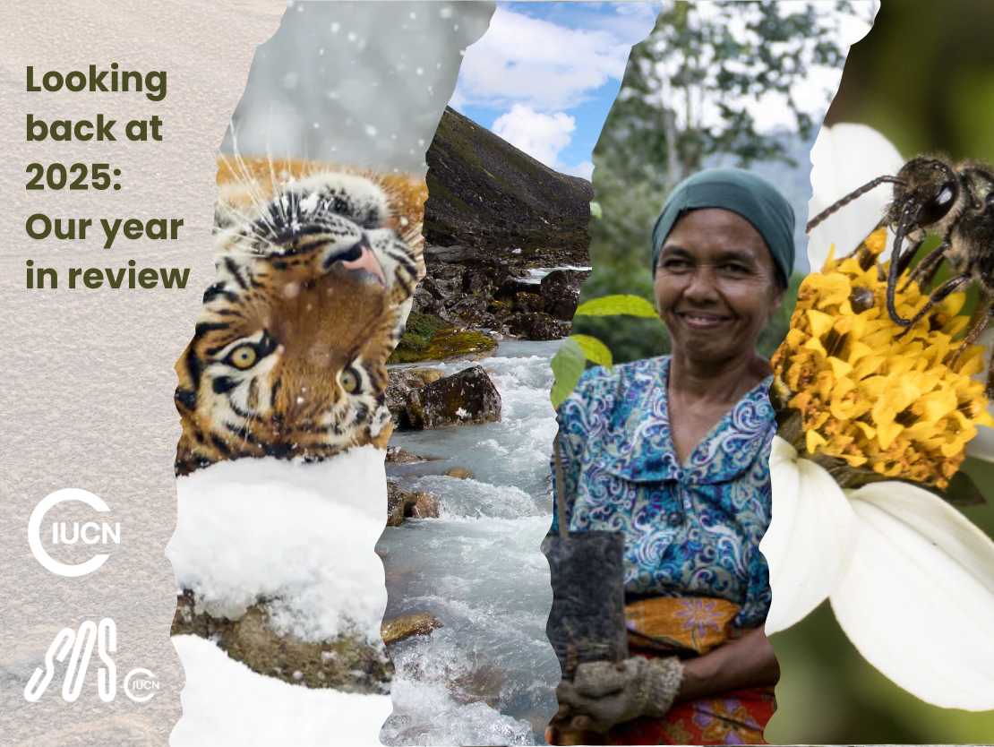 Conservation in action: Our year in review