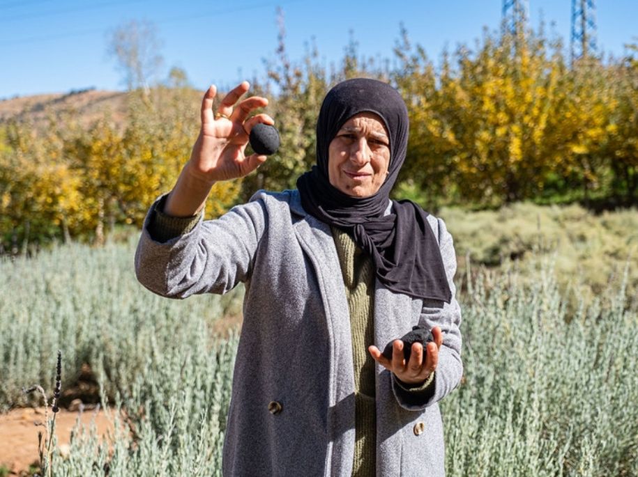 Woman holding up a seed pod in a field