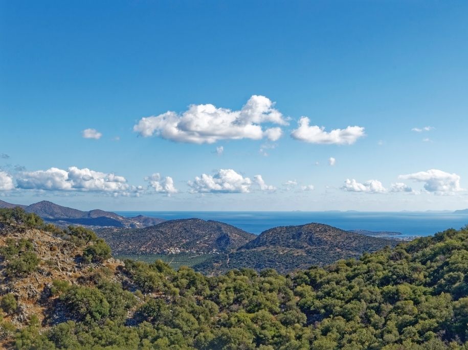 Wide shot of the forests and valleys of Thilakas, with the sea in the background