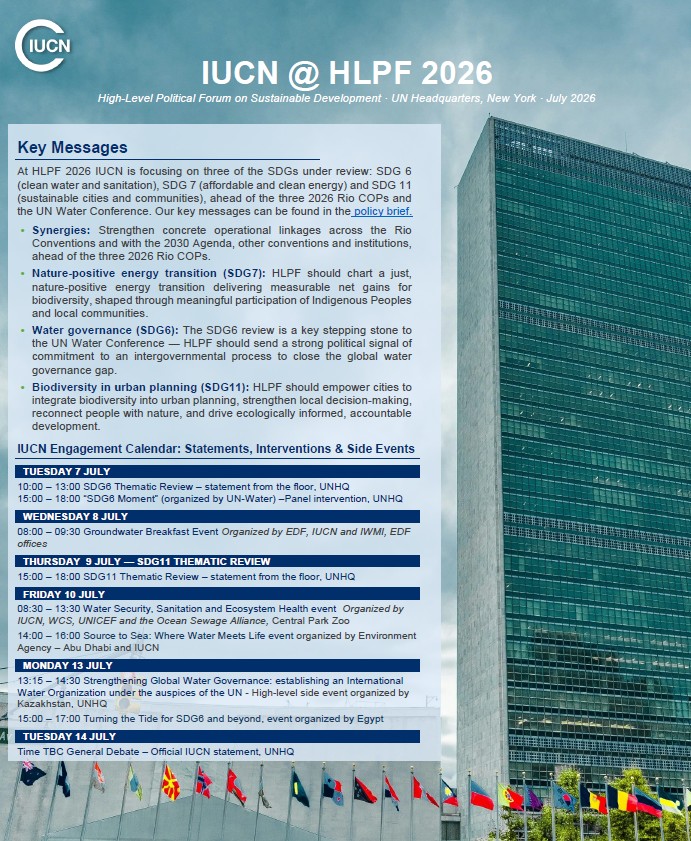 cover page of the policy brief