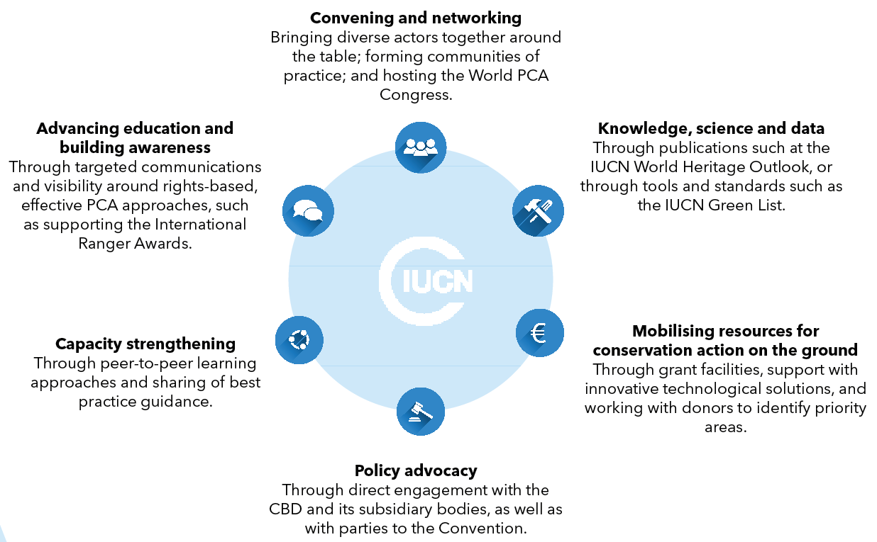 IUCN's catalytic roles