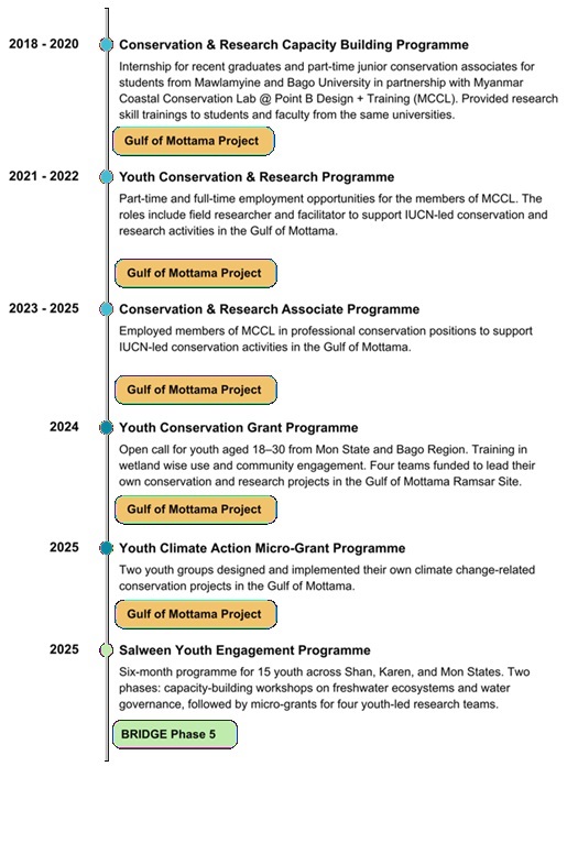 Timeline of youth engagement activities