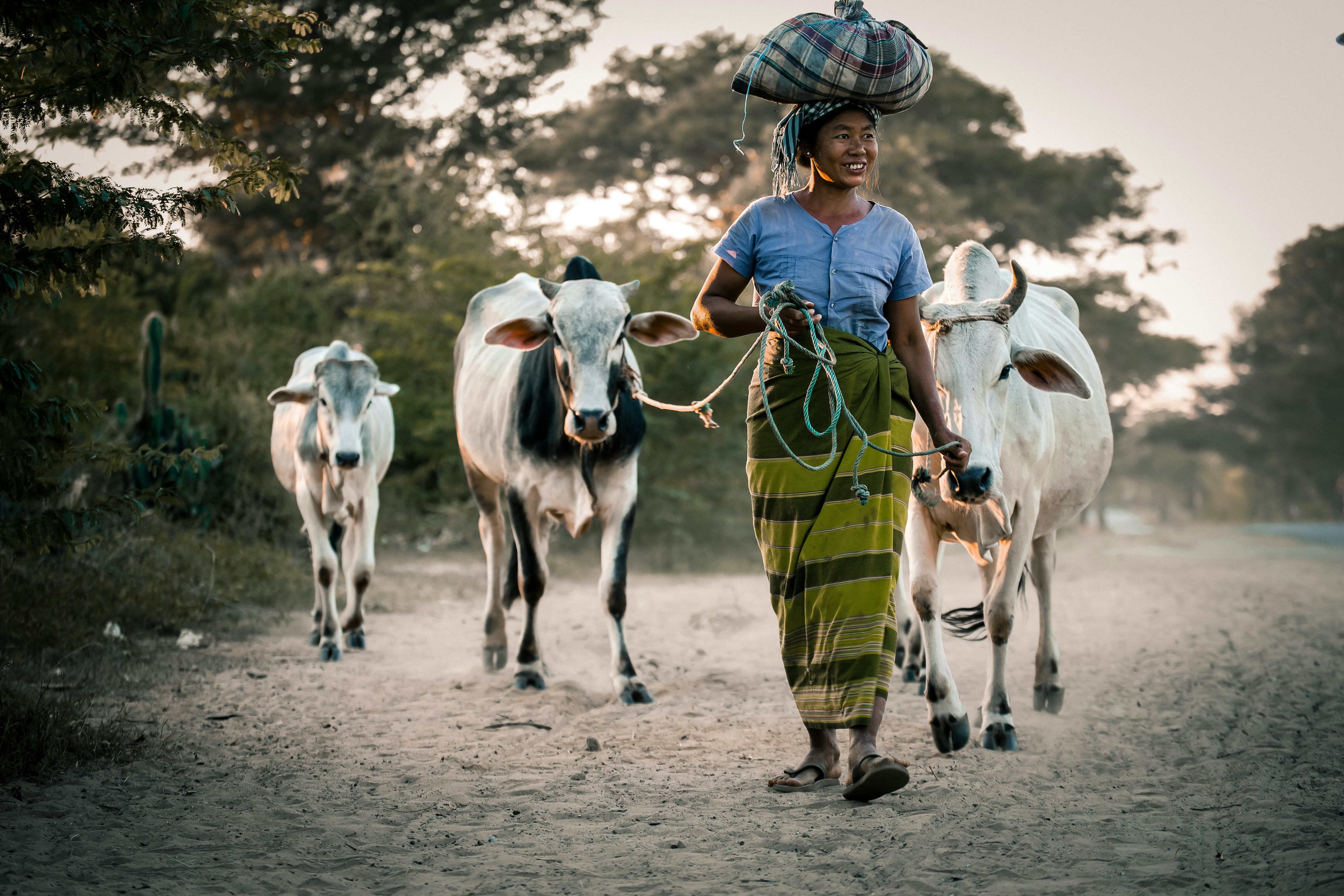 Sippakorn Yamkasikorn / Unsplash