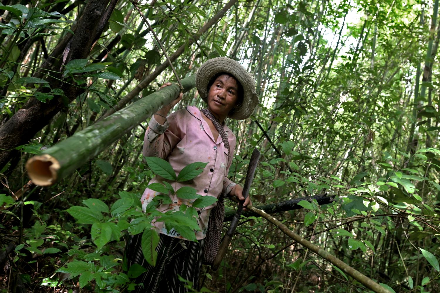 Residents of Mondol Yorn village collect bamboo to make baskets within the Community Protected Area (CPA) an area within Virachey National Park 