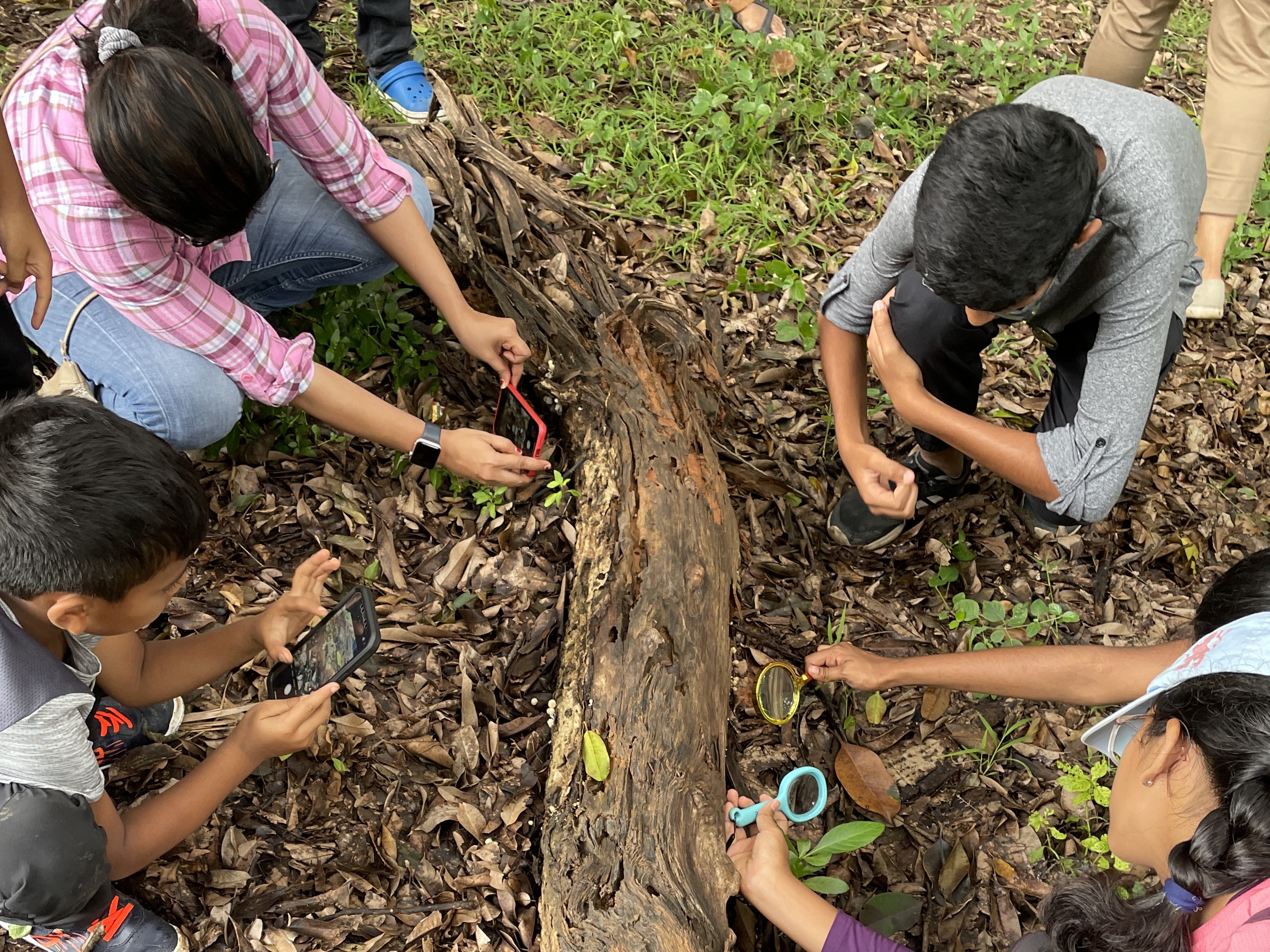 Community participating in a bioblitz in Karnataka, India