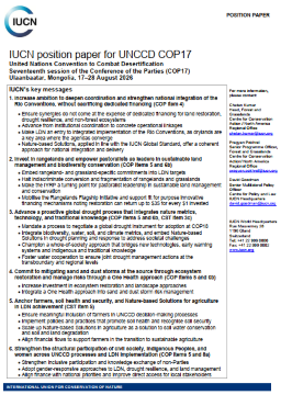 UNCCD COP17 position paper thumbnail