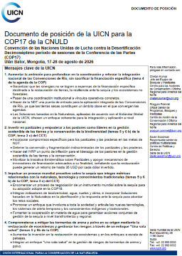 UNCCD COP17 pp thumb es