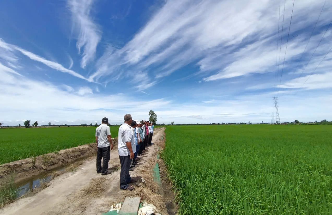 Farmers visited a farm by Ms. Nguyen Thi Diem Trinh in Tay Ninh Province 