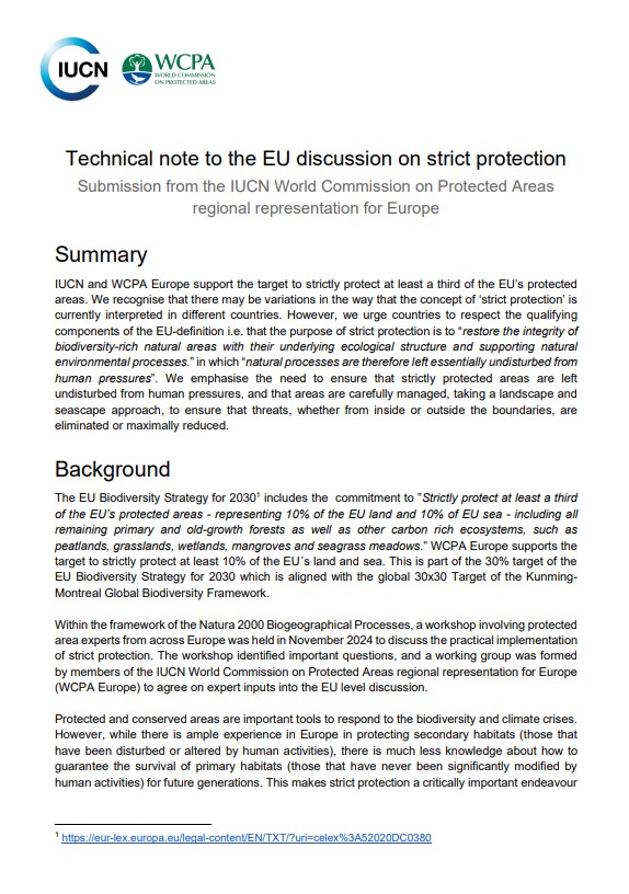 cover page of the policy brief