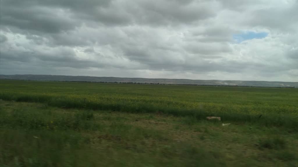 Tokra JebelAl-Akhda (Libya)