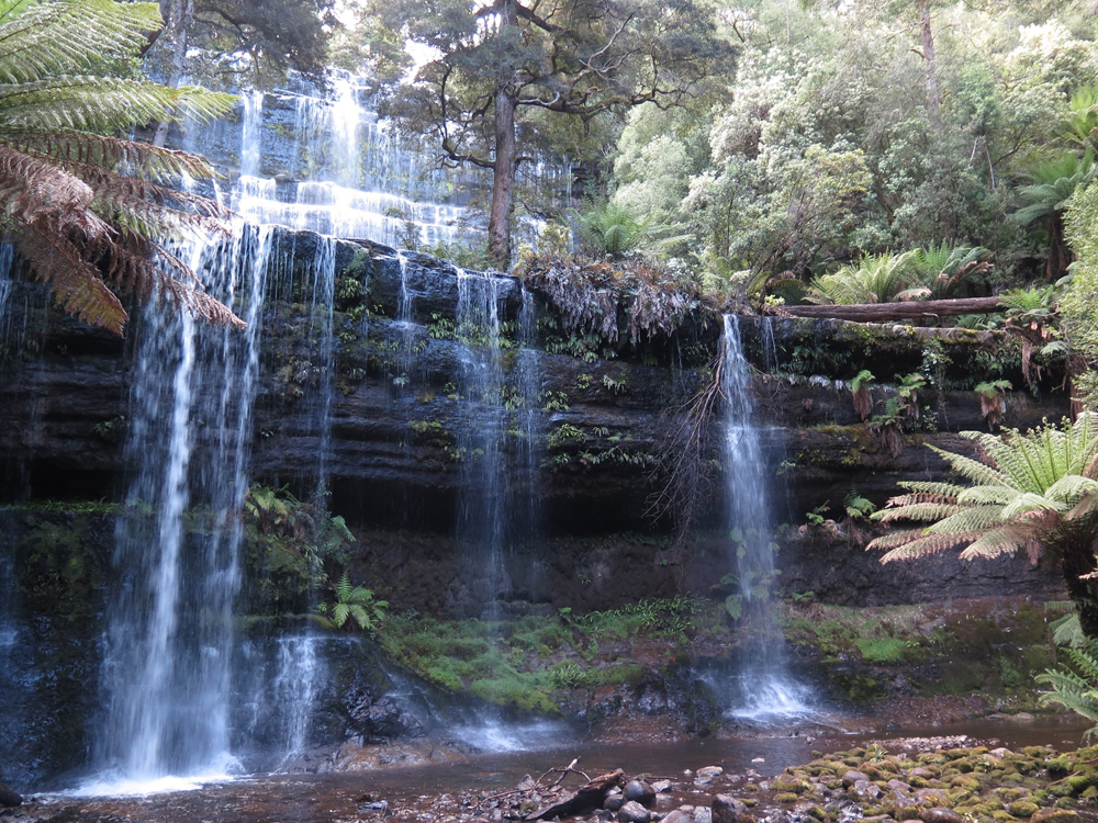Tasmanian Wilderness, Australia
