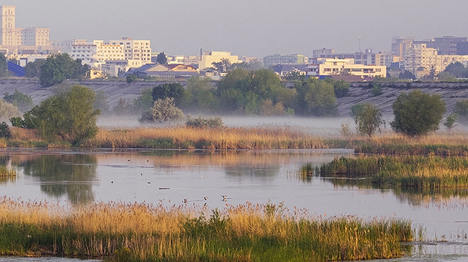 Văcărești, an urban wetland in Bucharest, Romania