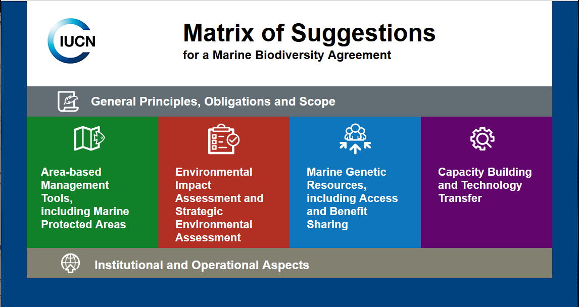 matrix of suggestions for a marine biodiversity agreement