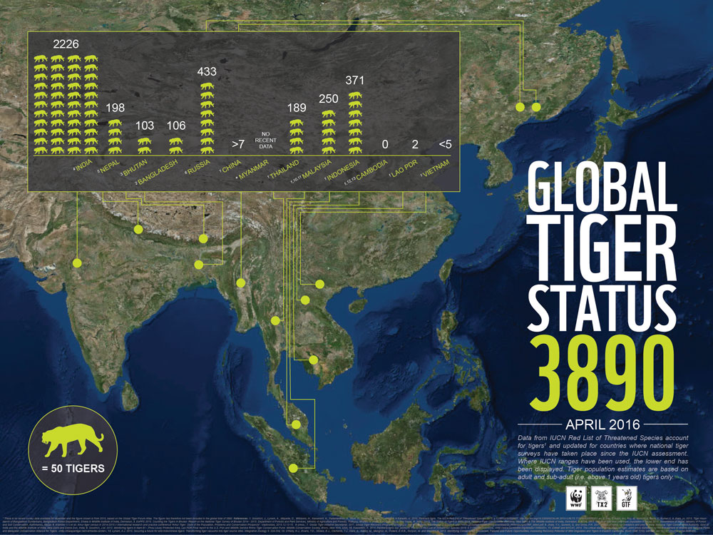 Infographic Global Tiger Status April 2016