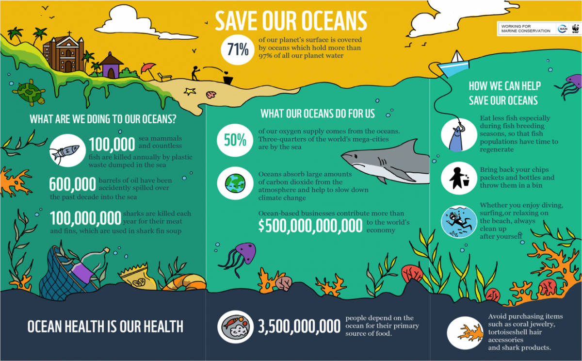What on earth are you doing. Загрязнение воды инфографика. Инфографика загрязнение океана. Инфографика океан. Инфографика воды в природе.