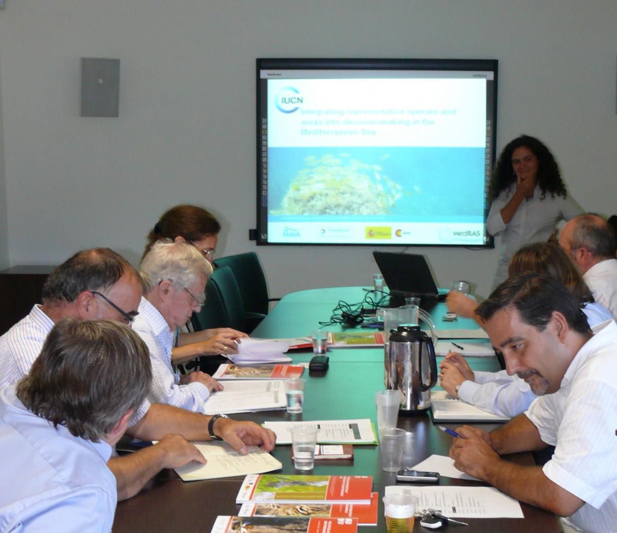Reunión delegación MAVA Sede UICN-MED, Septiembre 2009