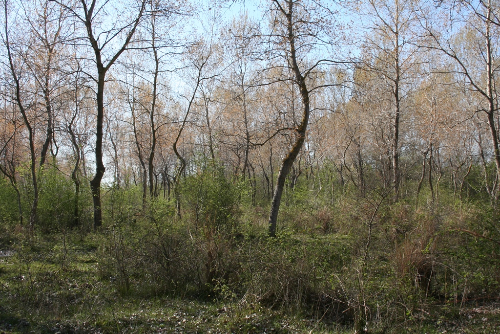 Velipojë Protected Landscape, Albania