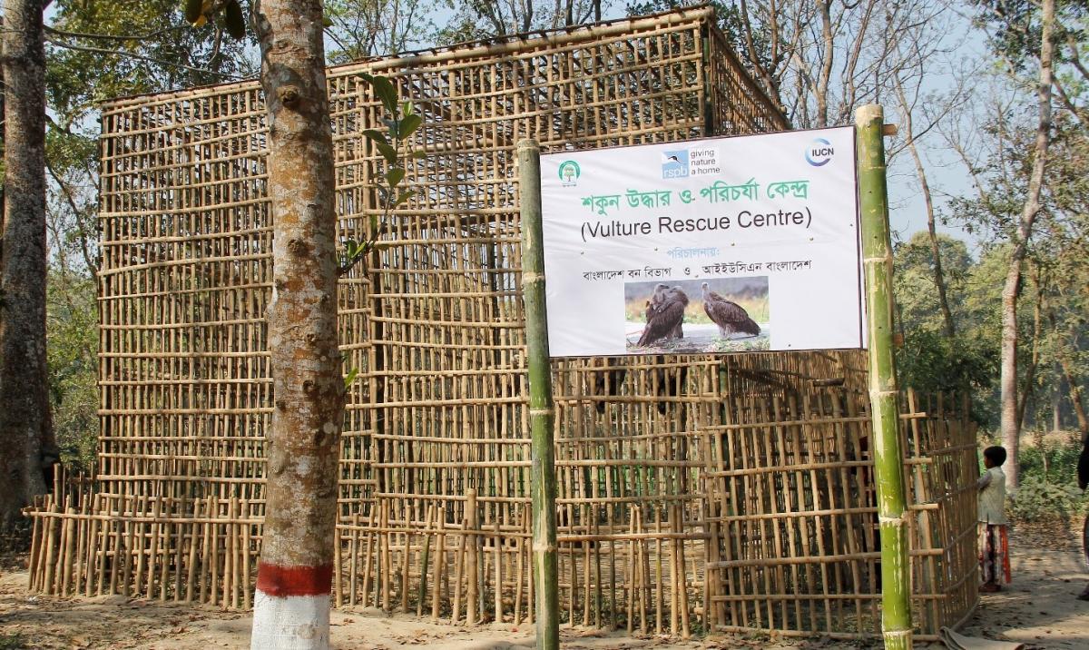 Vulture Rescue centre at Singra National Park, Dinajpur