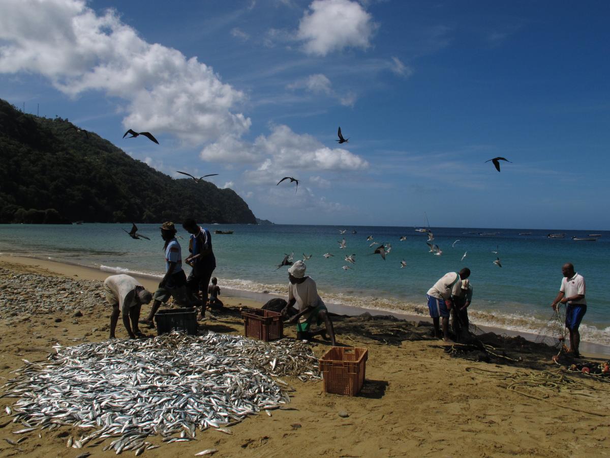 Fishermen in Tobago: Marine Protected Areas are a tool for marine conservation and fisheries management, for the benefit and livelihoods of the coastal communities.