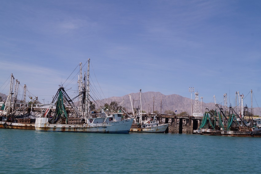 Islands and Protected Areas of the Gulf of California, Mexico