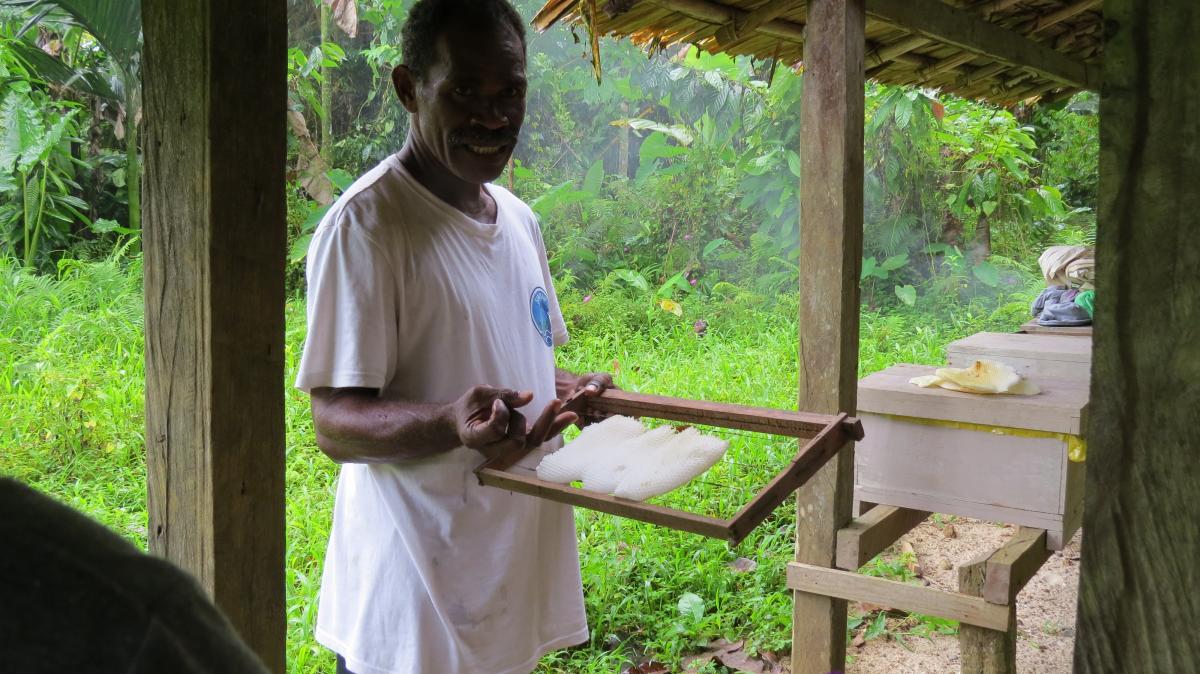 Stephen Suti from NRDF demonstrates honey bee farming techniques