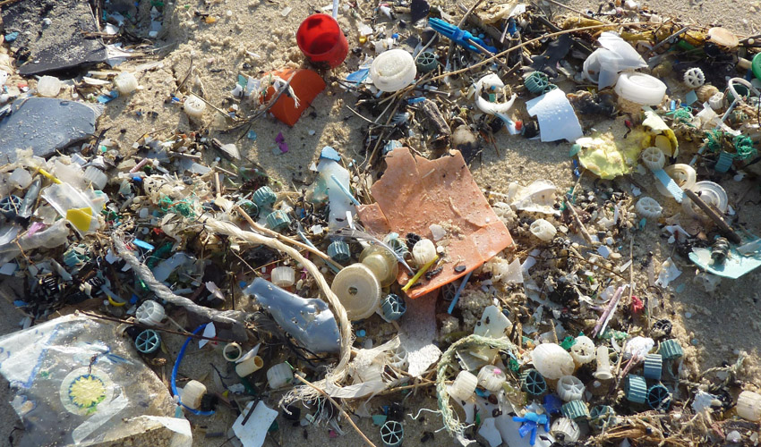 Every minute, the equivalent of a garbage truck full of plastic enters our oceans. 