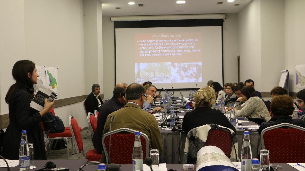 Governance workshop in Georgia, 2017