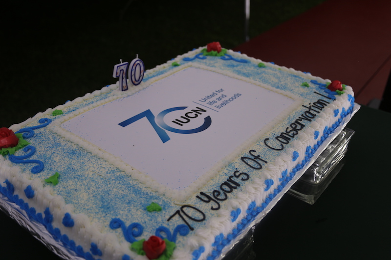 70th Anniversary cake 
