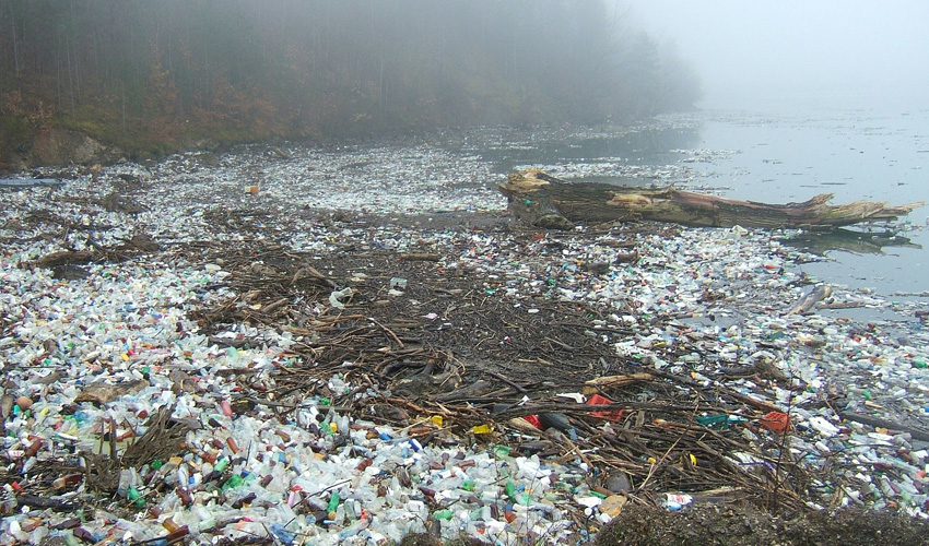 Plastic pollution threatens human and marine health.