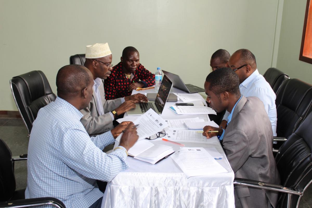 Tanzania workshop working group